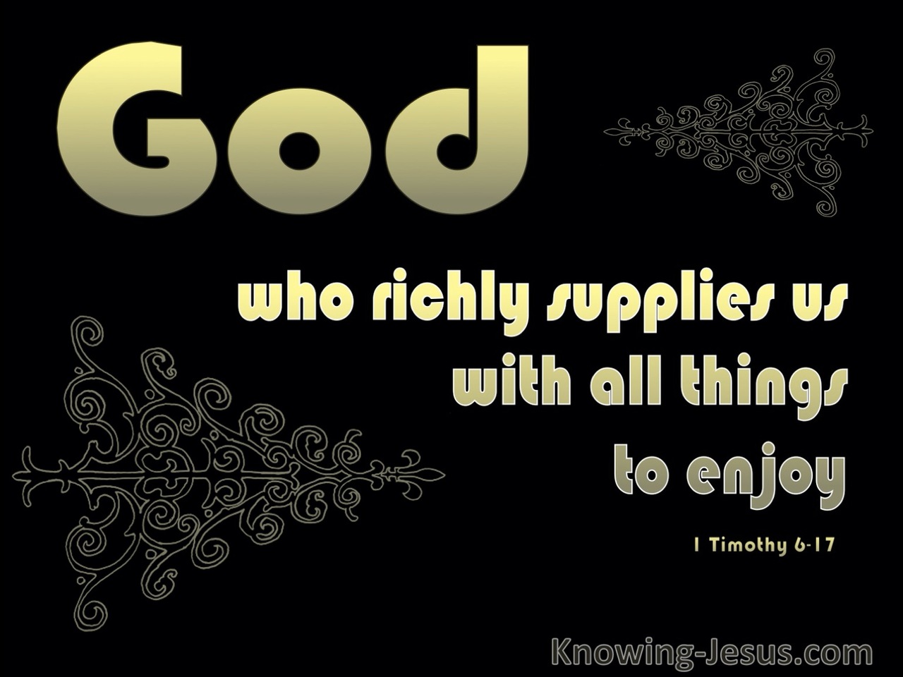 1 Timothy 6:17 God Supplies All Things (black)